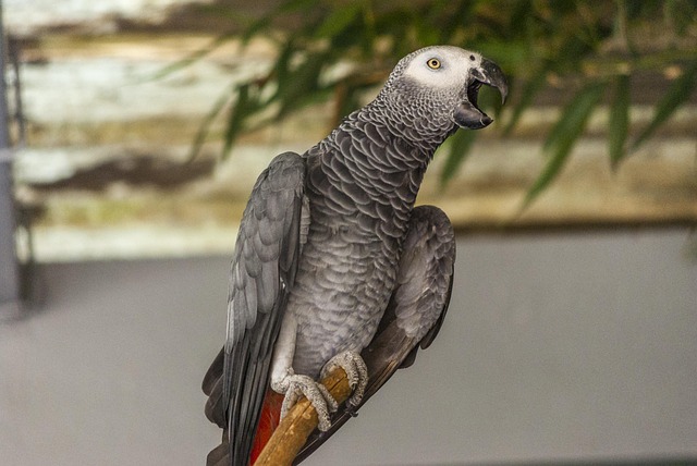 Petit oiseau perché